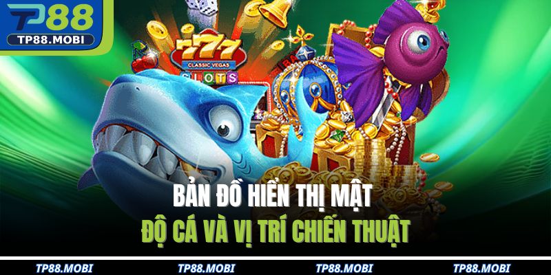 Bản đồ hiển thị mật độ cá và vị trí chiến thuật