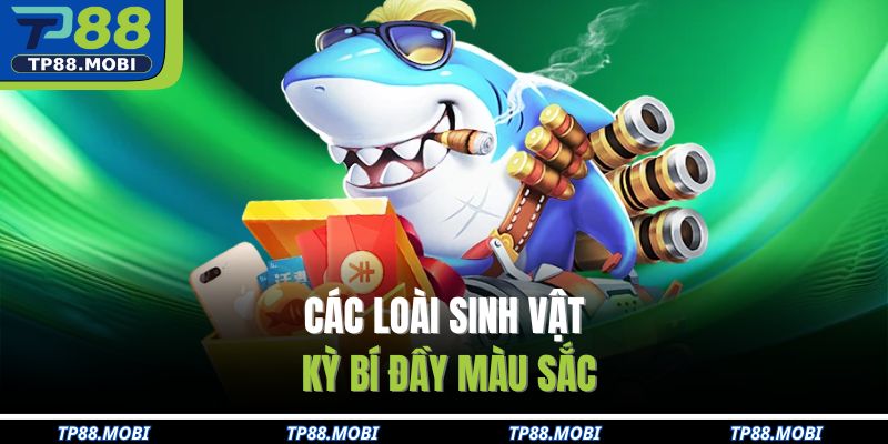 Các loài sinh vật kỳ bí đầy màu sắc