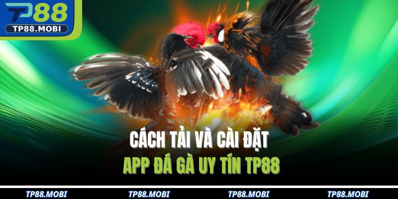 Cách tải và cài đặt app đá gà uy tín TP88