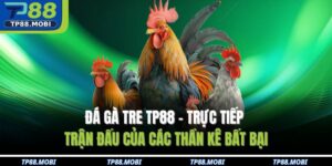 đá gà tre TP88