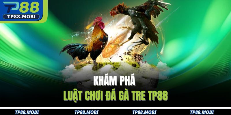 Khám phá luật chơi đá gà tre TP88