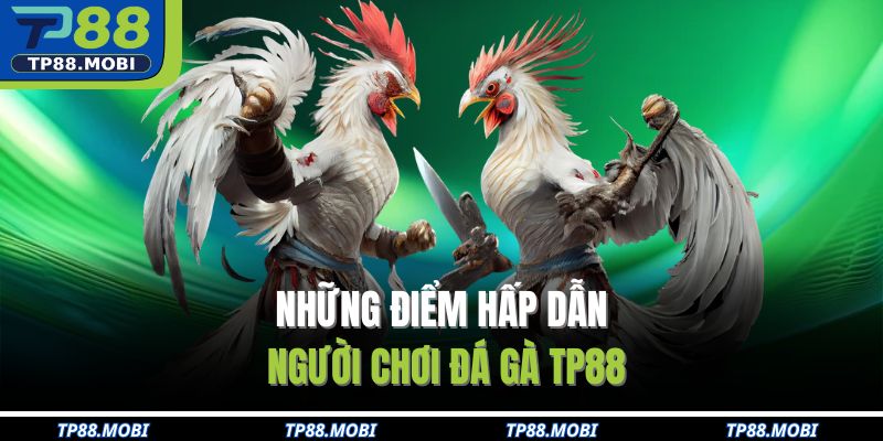 Những điểm hấp dẫn người chơi đá gà TP88