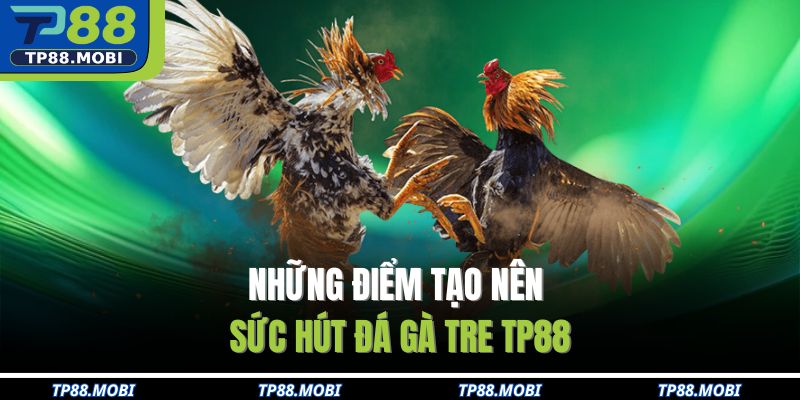 Những điểm tạo nên sức hút đá gà tre TP88