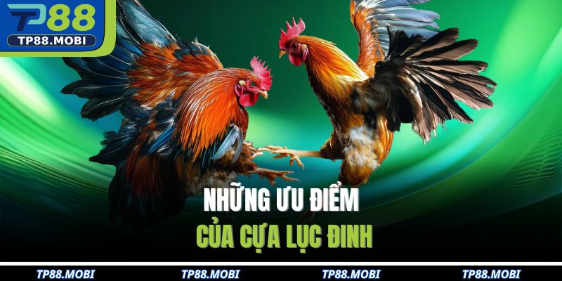 Những ưu điểm của cựa lục đinh