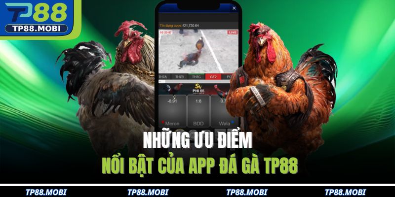 Những ưu điểm nổi bật của app đá gà TP88