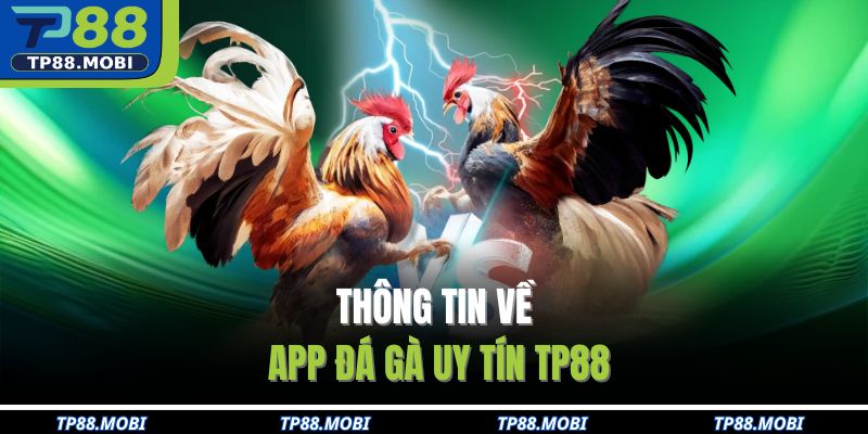 Thông tin về app đá gà uy tín TP88