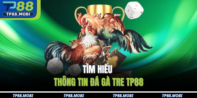 Tìm hiểu thông tin đá gà tre TP88