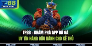 App đá gà uy tín TP88