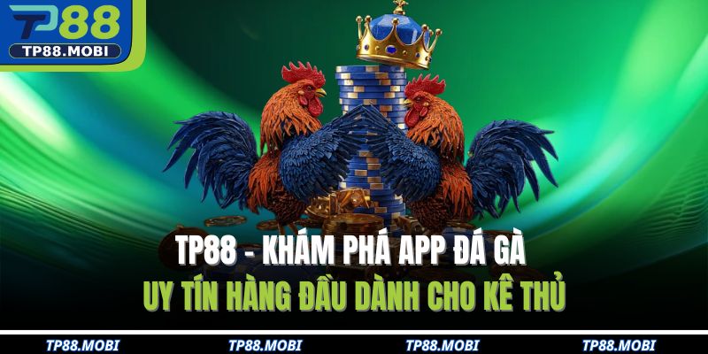 App đá gà uy tín TP88
