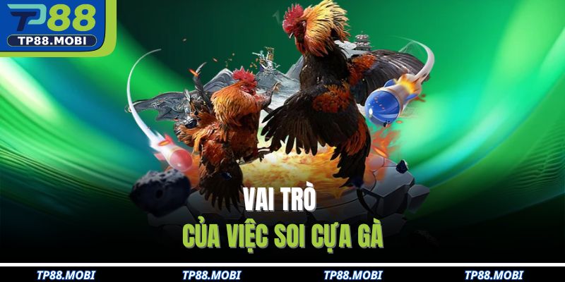 Vai trò của việc soi cựa gà 